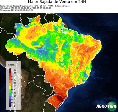 24 horas