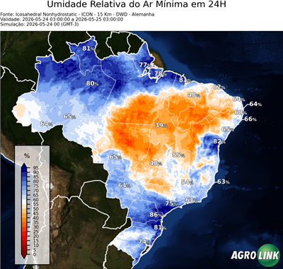 24 horas