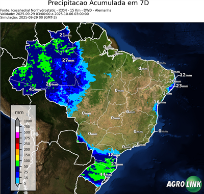7 dias