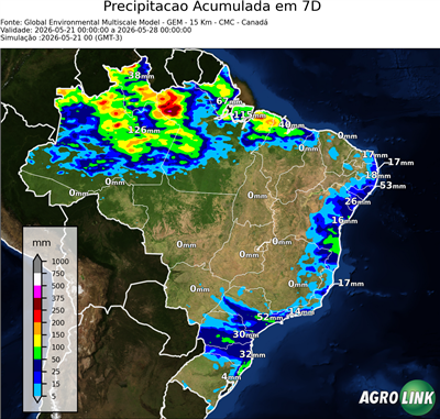 10 dias