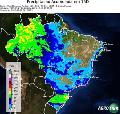 15 dias