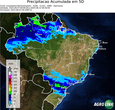 5 dias