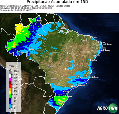 15 dias