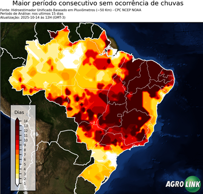 15 dias