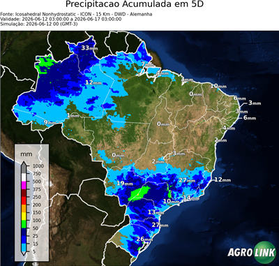 5 dias