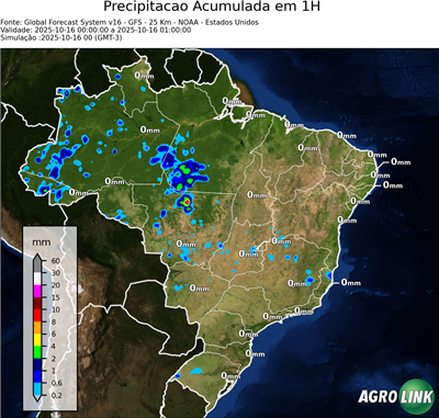 1 hora