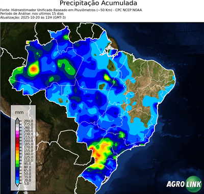 15 dias