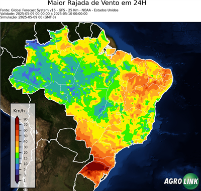 24 horas