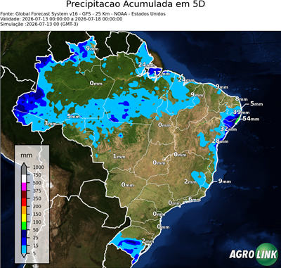 5 dias