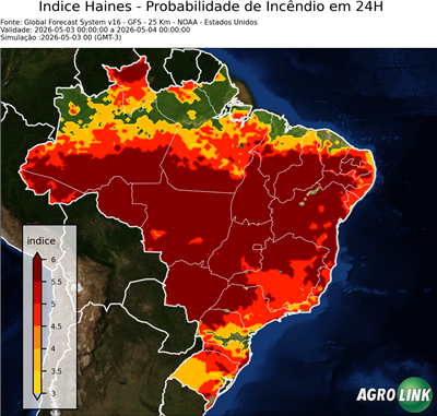 24 horas