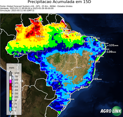 15 dias