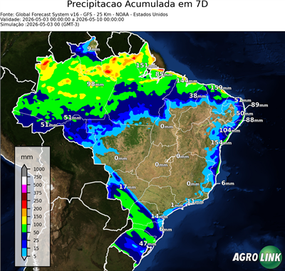 7 dias