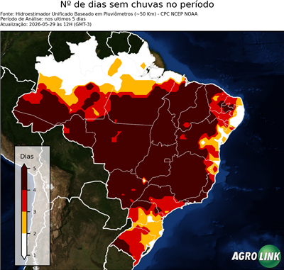 5 dias