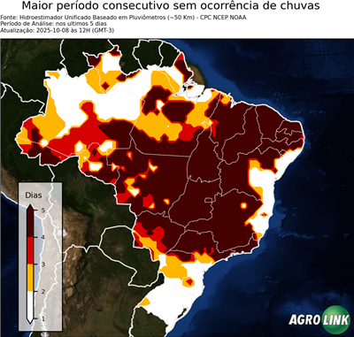 5 dias