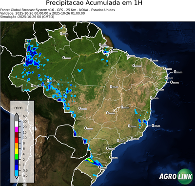 1 hora