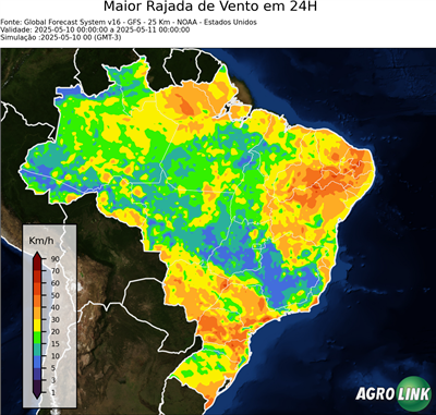 24 horas