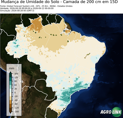 15 dias