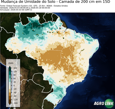 15 dias