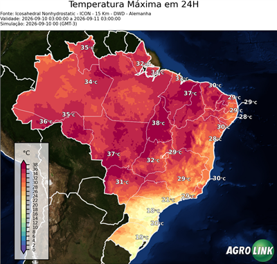 24 horas