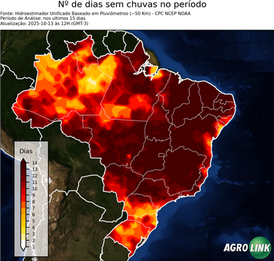 15 dias