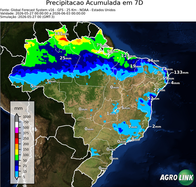 7 dias