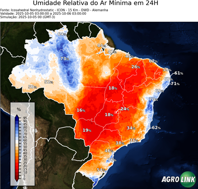 24 horas