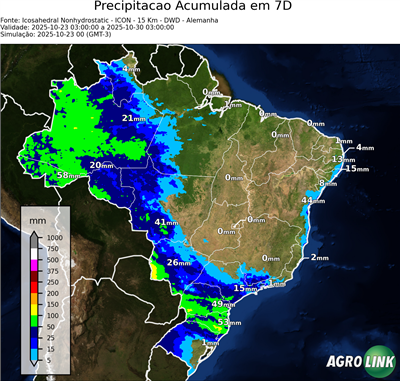 7 dias