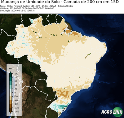 15 dias