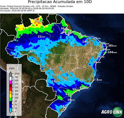 10 dias