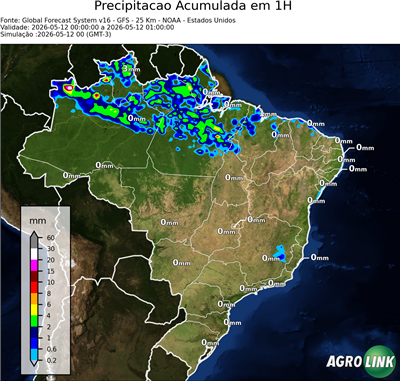 1 hora
