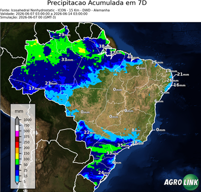 7 dias