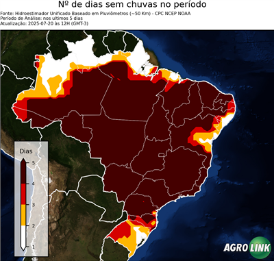 5 dias