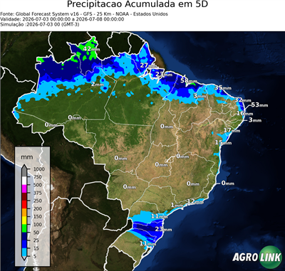 5 dias