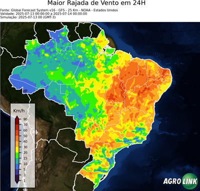 24 horas