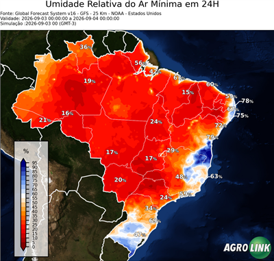 24 horas