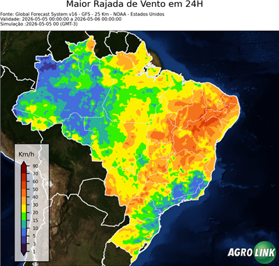 24 horas