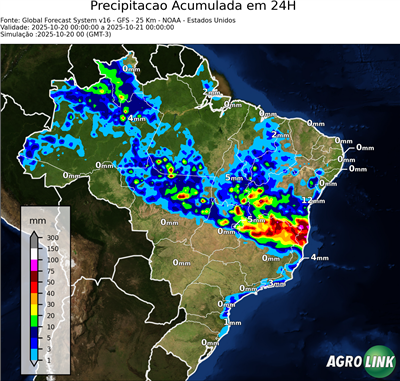 24 horas