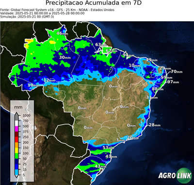 7 dias