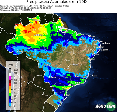 10 dias