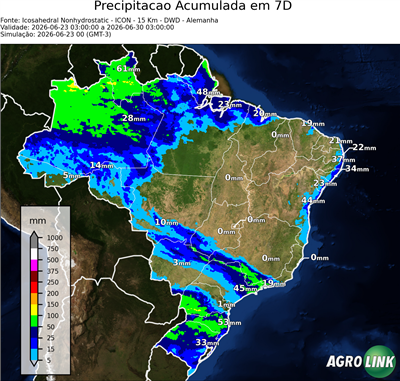 7 dias