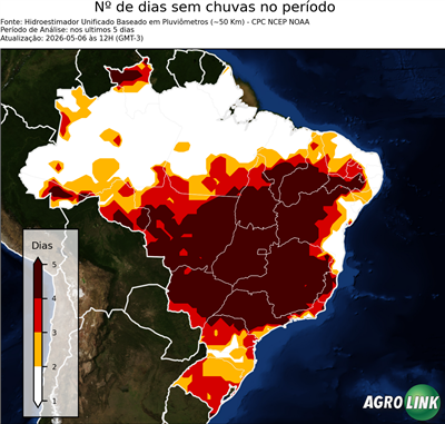 5 dias