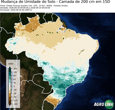 15 dias