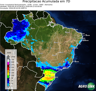 7 dias