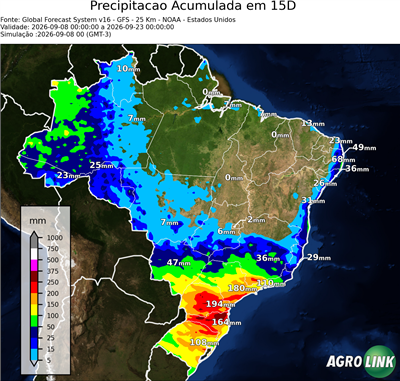 15 dias