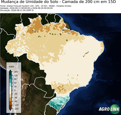 15 dias