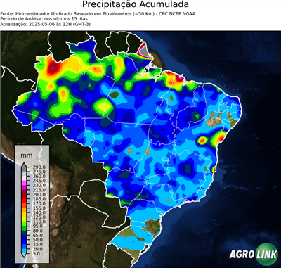 15 dias