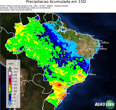 15 dias