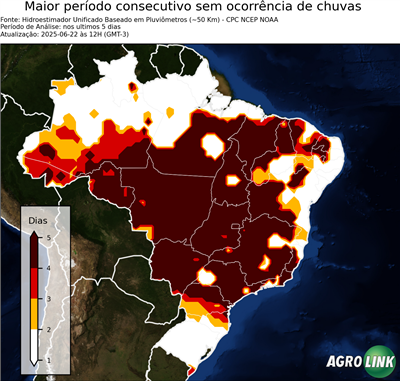5 dias