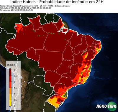 24 horas