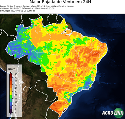24 horas